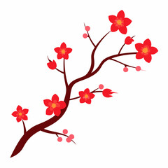 cherry blossoms vector illustration on white background