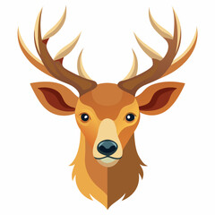 Deer head vector illustration on white background