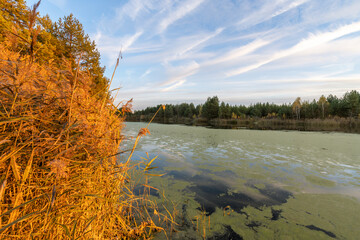 A lake with a greenish tint and a few trees in the background