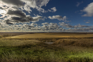 Fototapeta premium A field with a few clouds in the sky