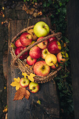 A wicker basket full of colorful apples with a scattering of autumn leaves on a wooden bench