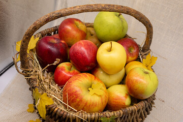 A basket full of ripe apples of different varieties, close-up.