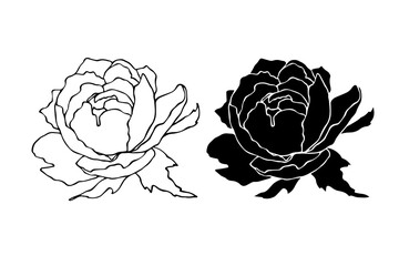 Linear sketch,silhouette,stamp of peony flower.Decorative botanical element.Vector graphics.
