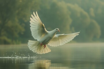 Obraz premium White bird flying over a body of water