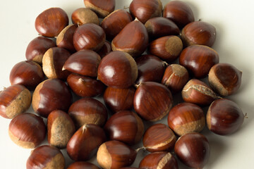 Freshly picked raw chestnuts ready to eat or roast with white background horizontal Castanea sativa