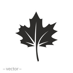 icon of fall leaf, maple leaves, concept autumn, flat symbol on white background,vector illustration