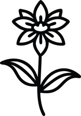 Obraz premium Black outline of a star-shaped flower with leaves, Minimalistic line art of a star-shaped flower featuring pointed petals, a central bud, and two elongated leaves, outlined in bold black for a sleek a