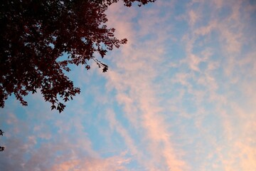 Sunset in Autumn in Ottawa, Ontario, Canada