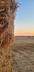 a sheaf of hay in the field