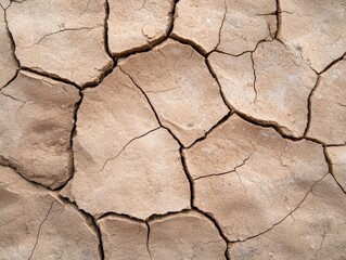 Cracked earth texture background