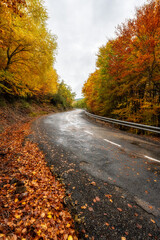 Mountain road that circulates between the trees of the forest with autumn colors, Madrid, Spain.