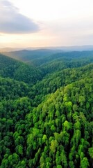 Fototapeta premium Lush green forest landscape under a serene sky at sunset, AI