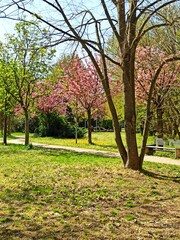 autumn park in the park