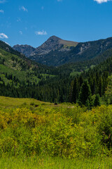 Obraz premium landscape in the summer