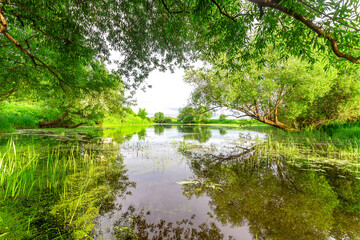 Fototapeta premium Church of Intercession upon Nerl River 12th century. (Bogolyubovo, Vladimir region, Golden Ring of Russia) A warm summer evening. historical and cultural heritage of Russia.