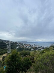 Wellington