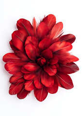 A red, flower-shaped ear decoration made of feathers, with petal-like petals and feather accents around the edges, on an isolated white background.
