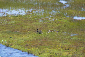 coastal seaside landscape scenery view