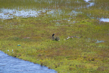 coastal seaside landscape scenery view