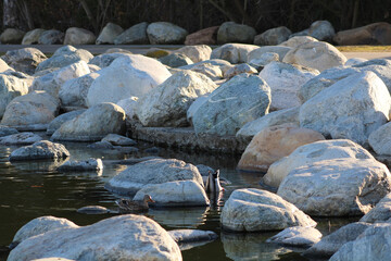 Obraz premium gray rocks bordering on riverbed