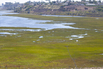green coastal landscape scenery near ocean