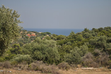 Rajskie widoki na greckiej wyspie Thassos  © Mateusz