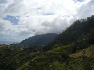 Wspaniała przyroda na portugalskiej wyspie Madera  © Mateusz