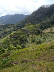 Wspaniała przyroda na portugalskiej wyspie Madera  © Mateusz