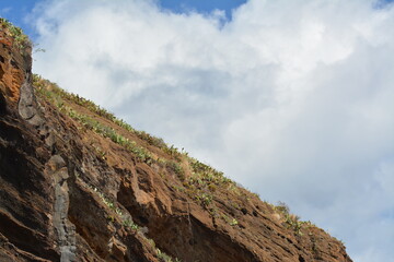 Wspaniała przyroda na portugalskiej wyspie Madera  © Mateusz