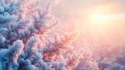 A breathtaking view captures the sunrise over snow-covered trees during winter