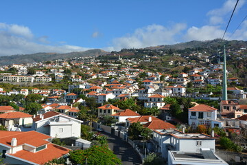 Wspaniała przyroda na portugalskiej wyspie Madera  © Mateusz