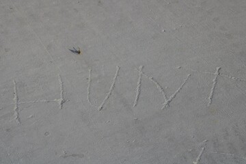 letters carved into pavement sidewalk