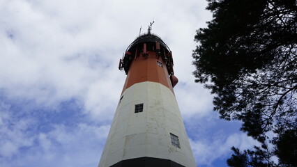 Naklejka premium Lighthouse in the forest by the sea