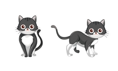 Illustration of funny black cat sitting and walking isolated on white background.
