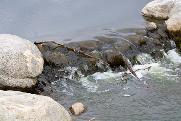 Obraz premium river water cascading over rocks