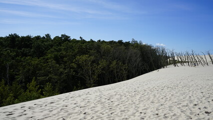 Moving dunes by the sea in Poland
