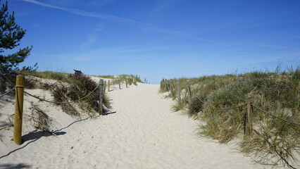 Moving dunes by the sea in Poland
