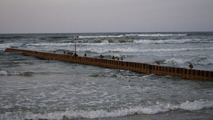 Sunset on the beach by the sea
