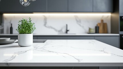 Modern kitchen with marble countertop and potted plant.