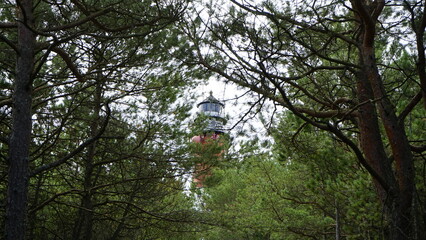 Fototapeta premium Lighthouse in the forest by the sea 