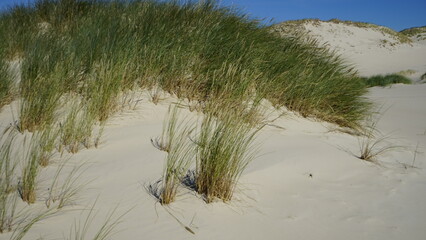 Moving dunes by the sea in Poland