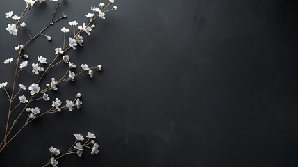 A minimalist composition featuring delicate white flowers on a dark background, ideal for design and decoration.