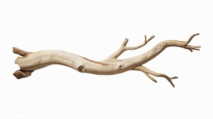 Fototapeta premium Natural Branch: A weathered, gnarled branch stretches out, its intricate knots and twisted form telling a story of time and resilience. It is a raw and organic element.