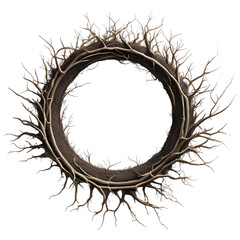 Fototapeta premium Root circle border png transparent background