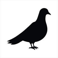 silhouette of a pigeon vector
