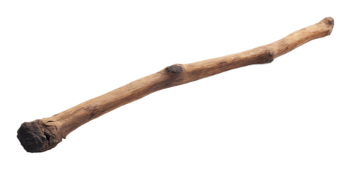 Wooden stick on a transparent background. isolated background.