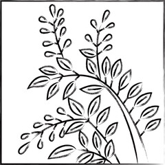 筆書き正方形花札　文月　萩　7月　萩のカス