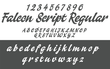 Webvector illustration typeface fonts letters, alphabet, uppercase lowercase, and number.