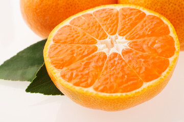 みかん　スタジオ撮影