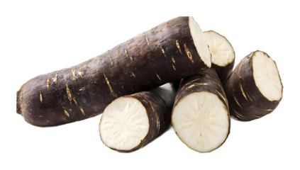 Yuca on a transparent background. isolated background.